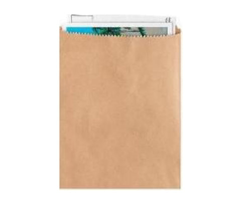 Kraft Notion Bags